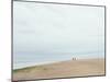 Large Beach with Two People and a Small Dog Walking-Clive Nolan-Mounted Photographic Print