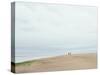 Large Beach with Two People and a Small Dog Walking-Clive Nolan-Stretched Canvas