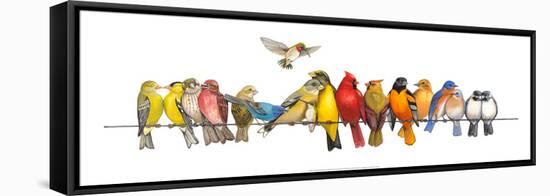 Large Bird Menagerie-Wendy Russell-Framed Stretched Canvas