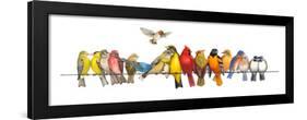 Large Bird Menagerie-Wendy Russell-Framed Art Print