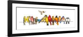 Large Bird Menagerie-Wendy Russell-Framed Art Print