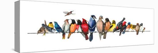 Large Bird Menagerie-Wendy Russell-Stretched Canvas