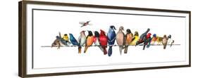 Large Bird Menagerie-Wendy Russell-Framed Premium Giclee Print