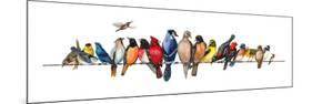 Large Bird Menagerie-Wendy Russell-Mounted Premium Giclee Print