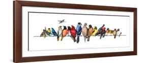 Large Bird Menagerie-Wendy Russell-Framed Art Print