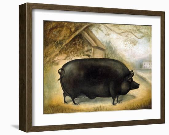 Large Black Pig-Porter Design-Framed Premium Giclee Print