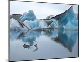 Large Blocks of Ice Floating on Jokulsarlon Lagoon, Blocks Break Off from the 30-Metres-High Edge o-Nigel Pavitt-Mounted Photographic Print