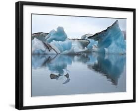 Large Blocks of Ice Floating on Jokulsarlon Lagoon, Blocks Break Off from the 30-Metres-High Edge o-Nigel Pavitt-Framed Photographic Print