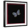 Large Blue Butterfly, 2000-Amelia Kleiser-Framed Giclee Print