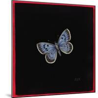 Large Blue Butterfly, 2000-Amelia Kleiser-Mounted Giclee Print