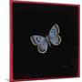 Large Blue Butterfly, 2000-Amelia Kleiser-Mounted Giclee Print