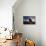 Large Boulders Backdropped by Stars and Clouds, California-null-Photographic Print displayed on a wall