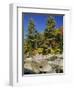 Large Boulders in the Swift River, Kancamagus Highway, New Hampshire, New England, USA-Amanda Hall-Framed Photographic Print