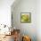 Large Bowl of Fruit I-Ethan Harper-Framed Stretched Canvas displayed on a wall