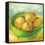 Large Bowl of Fruit I-Ethan Harper-Framed Stretched Canvas