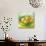 Large Bowl of Fruit I-Ethan Harper-Art Print displayed on a wall