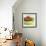 Large Bowl of Fruit III-Ethan Harper-Framed Art Print displayed on a wall