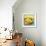 Large Bowl of Fruit IV-Ethan Harper-Framed Art Print displayed on a wall