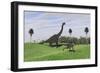 Large Brachiosaurus and a Gigantoraptor in a Grassy Field-null-Framed Premium Giclee Print