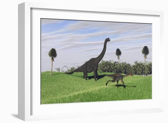 Large Brachiosaurus and a Gigantoraptor in a Grassy Field-null-Framed Art Print