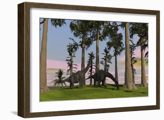 Large Brachiosaurus Dinosaurs Grazing Among Trees-null-Framed Art Print