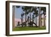 Large Brachiosaurus Dinosaurs Grazing Among Trees-null-Framed Art Print