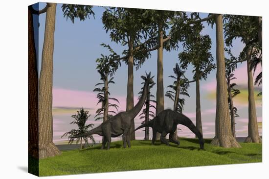 Large Brachiosaurus Dinosaurs Grazing Among Trees-null-Stretched Canvas