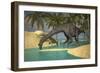 Large Brachiosaurus Drinking Water from a Stream-null-Framed Art Print