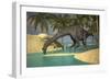 Large Brachiosaurus Drinking Water from a Stream-null-Framed Art Print