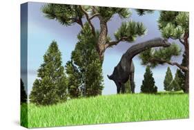 Large Brachiosaurus Grazing Among Trees-null-Stretched Canvas