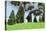 Large Brachiosaurus Grazing Among Trees-null-Stretched Canvas