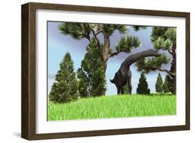 Large Brachiosaurus Grazing Among Trees-null-Framed Art Print