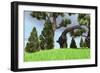 Large Brachiosaurus Grazing Among Trees-null-Framed Art Print