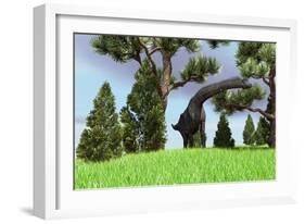 Large Brachiosaurus Grazing Among Trees-null-Framed Art Print