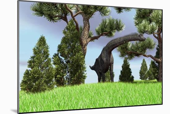 Large Brachiosaurus Grazing Among Trees-null-Mounted Art Print