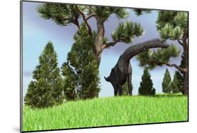 Large Brachiosaurus Grazing Among Trees-null-Mounted Art Print