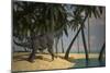 Large Brachiosaurus Grazing at the Water's Edge-null-Mounted Art Print