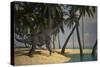 Large Brachiosaurus Grazing at the Water's Edge-null-Stretched Canvas