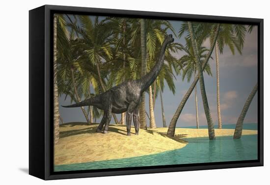 Large Brachiosaurus Grazing at the Water's Edge-null-Framed Stretched Canvas