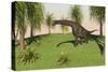 Large Brachiosaurus Grazing in a Grassy Field-null-Stretched Canvas