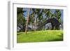 Large Brachiosaurus Grazing in a Tropical Climate-null-Framed Art Print