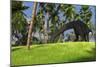 Large Brachiosaurus Grazing in a Tropical Climate-null-Mounted Art Print