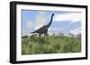 Large Brachiosaurus Grazing in an Open Field-null-Framed Art Print