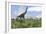 Large Brachiosaurus Grazing in an Open Field-null-Framed Art Print