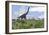 Large Brachiosaurus Grazing in an Open Field-null-Framed Premium Giclee Print
