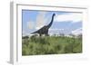 Large Brachiosaurus Grazing in an Open Field-null-Framed Premium Giclee Print