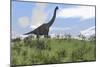 Large Brachiosaurus Grazing in an Open Field-null-Mounted Premium Giclee Print