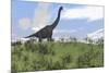 Large Brachiosaurus Grazing in an Open Field-null-Mounted Art Print