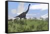 Large Brachiosaurus Grazing in an Open Field-null-Framed Stretched Canvas