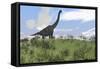 Large Brachiosaurus Grazing in an Open Field-null-Framed Stretched Canvas